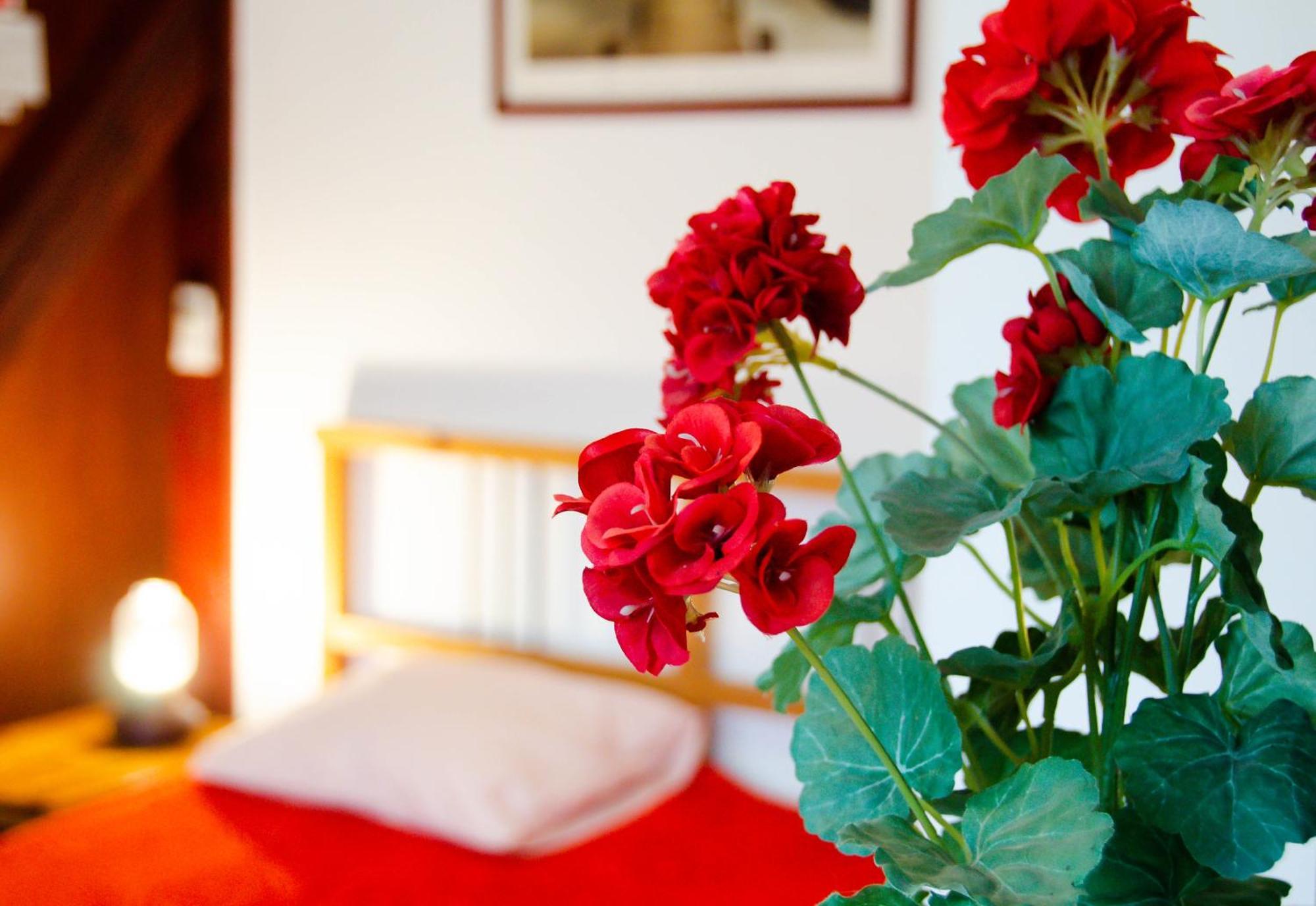 Conacul Bunicilor Hotel Novaci Екстериор снимка