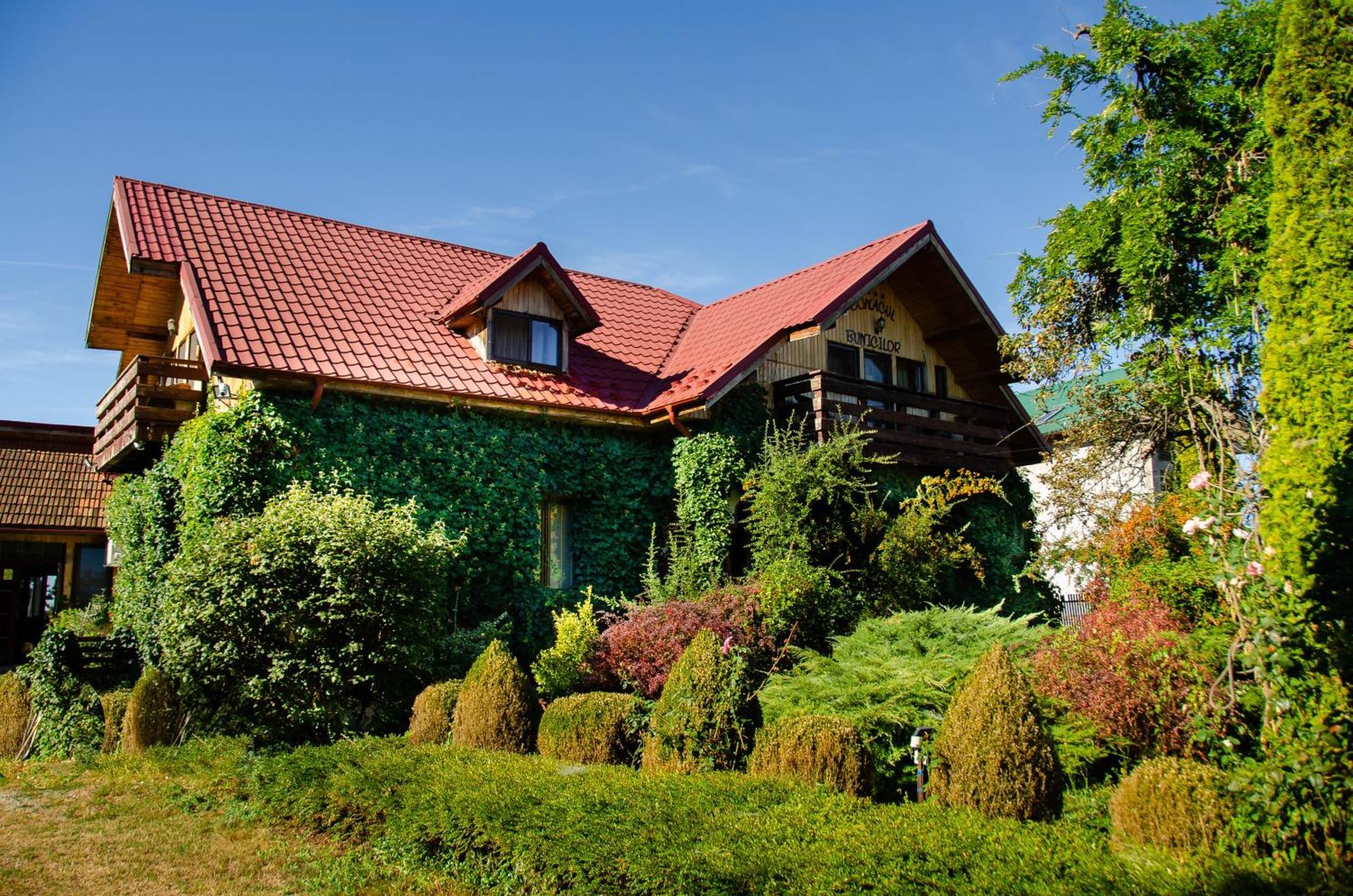 Conacul Bunicilor Hotel Novaci Екстериор снимка